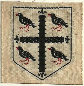 Flintshire county scouts badge